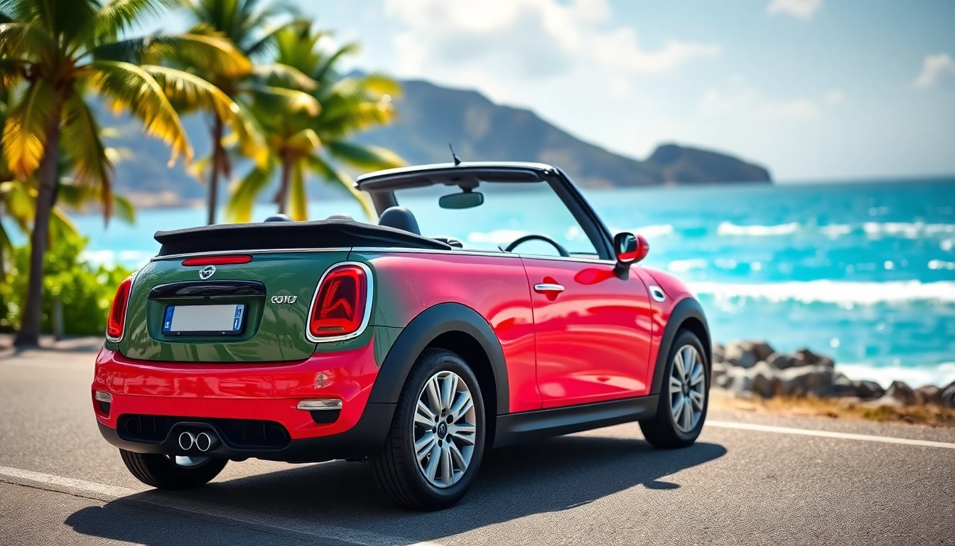Experience mini cooper rental st barts with a convertible car parked on a scenic coastal road.